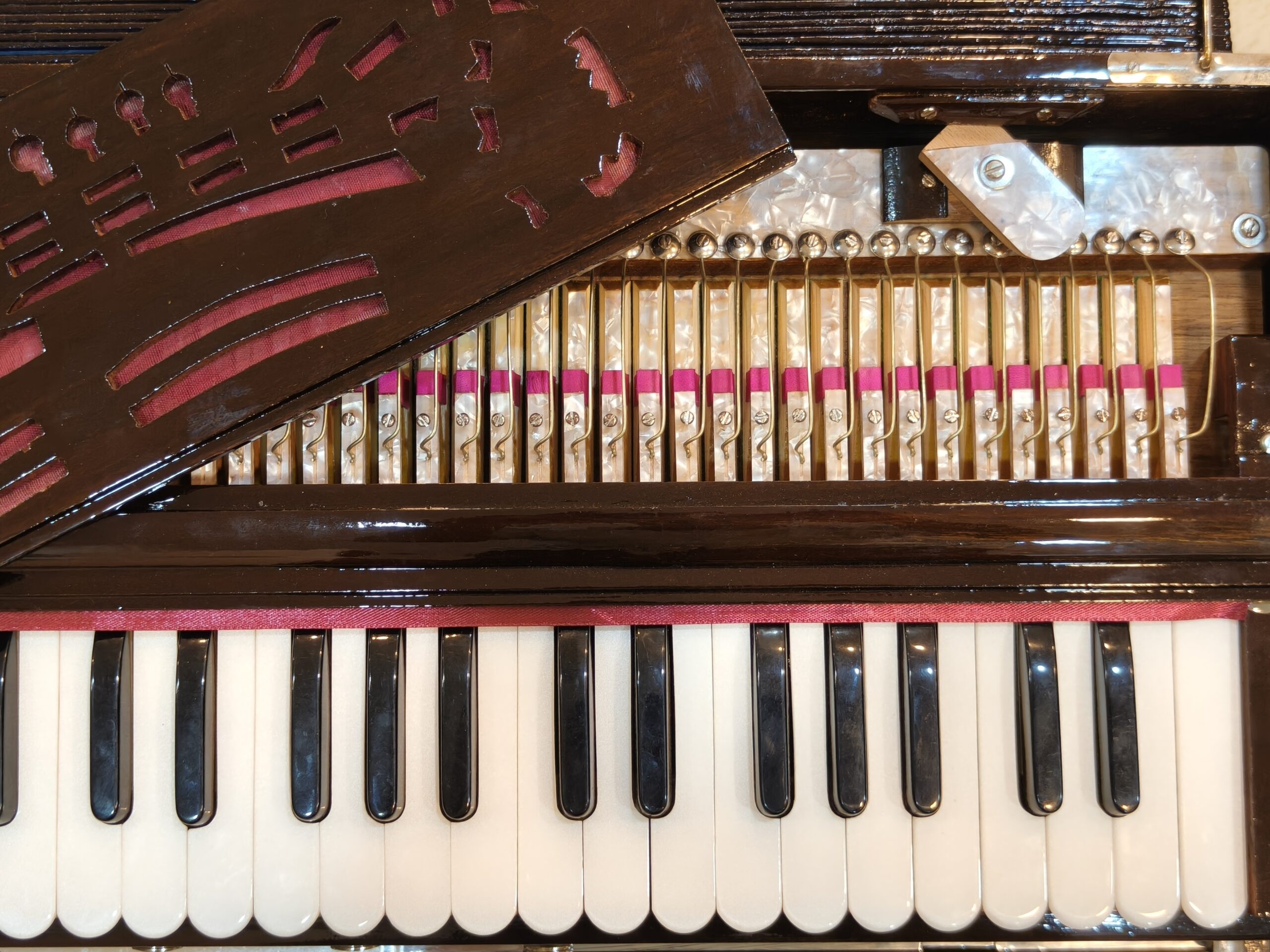 Rasa Veena Harmonium | 3.5 Octave | 2 Liner Box Harmonium - Image 6