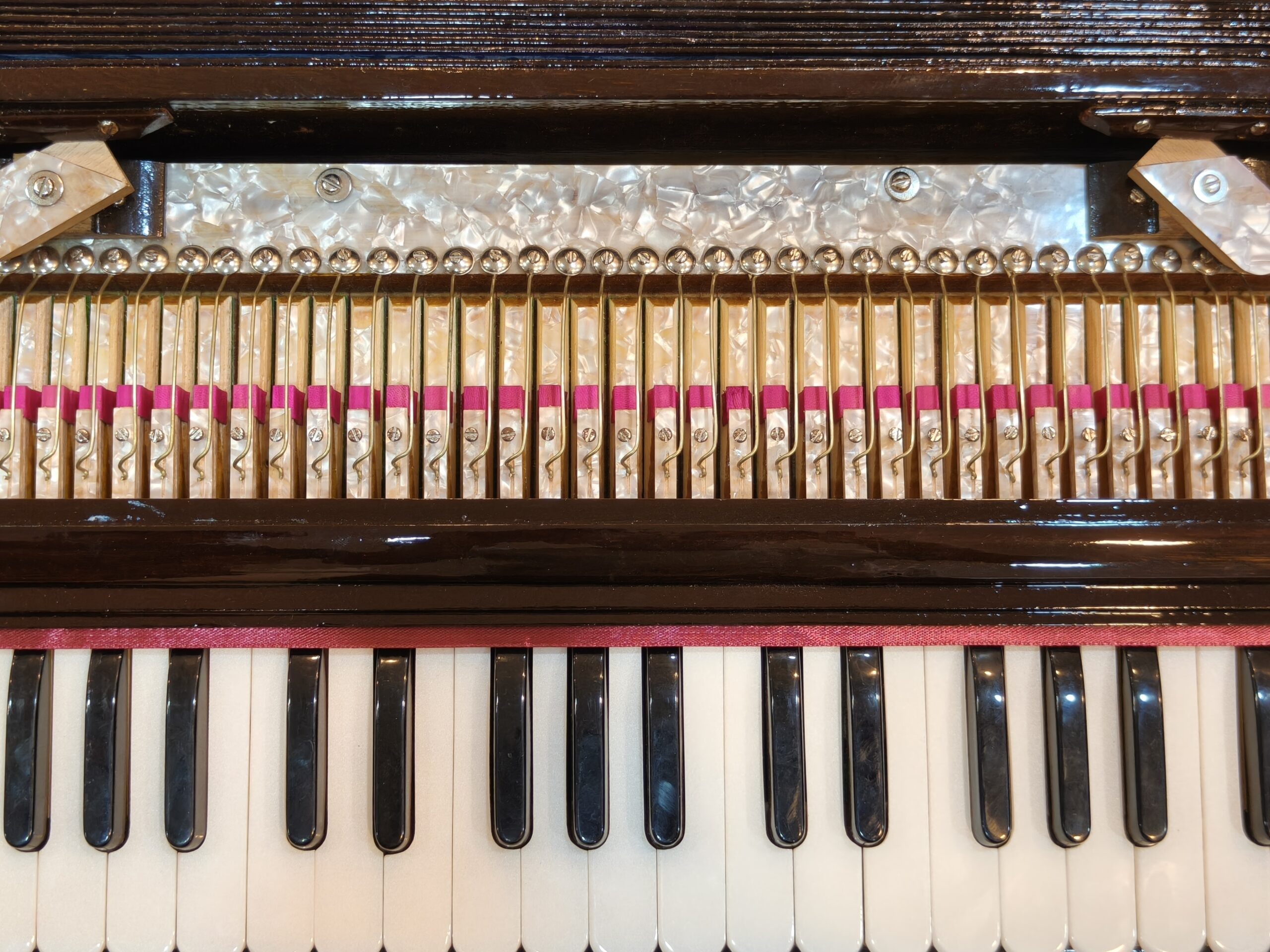 IMG_20251106_203318 Rasa Veena Harmonium | 3.5 Octave | 2 Liner Box Harmonium - Image 3